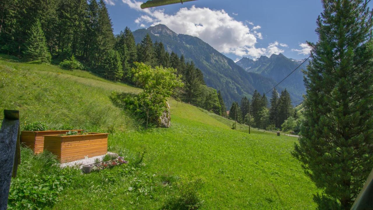 Apartment Bergblick Ginzling Εξωτερικό φωτογραφία